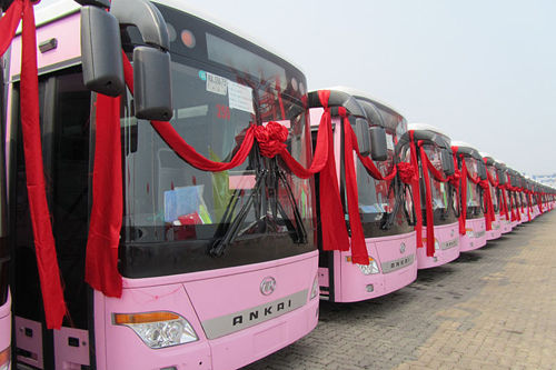 Sinosure Supporting the Export of Indenpendent Brand Buses 
