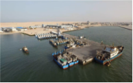 Project of Pelagic Fishery Base Investment  in Mauritania