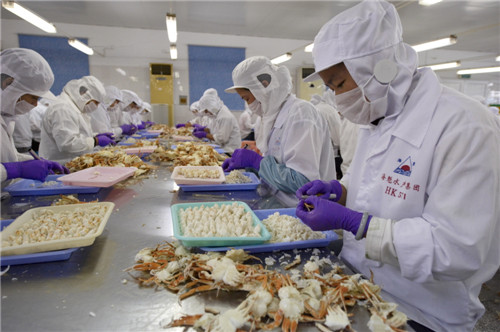 Sinosure Supporting the Export of Seafood