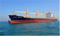 Container Ships Leasing  to Singapore